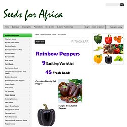 Sweet Pepper Rainbow Seeds - 9 Varieties