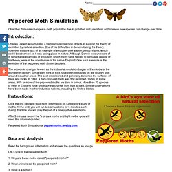 Peppered Moth Simulation