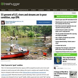 55 percent of U.S. rivers and streams are in poor condition, says EPA