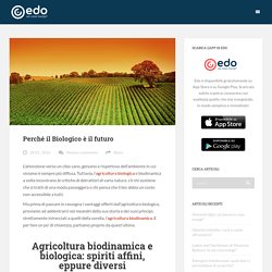 Perché il Biologico è il futuro - Edo Blog