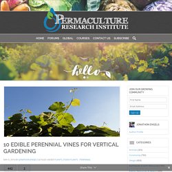 10 Edible Perennial Vines for Vertical Gardening