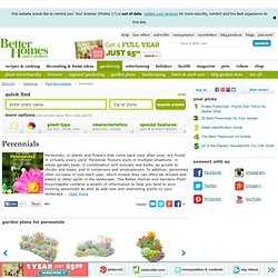 Perennials - List of Perennial Flowers and Plants. Plant Encyclopedia - BHG.com
