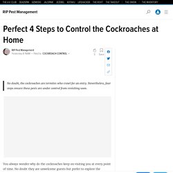 Perfect 4 Steps to Control the Cockroaches at Home