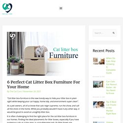 6 Perfect Cat Litter Box Furniture With Pros and Cons