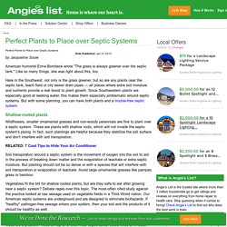 Perfect Plants to Place over Septic Systems