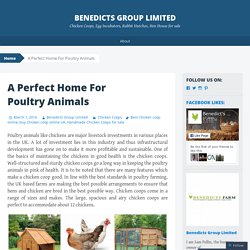 A Perfect Home For Poultry Animals