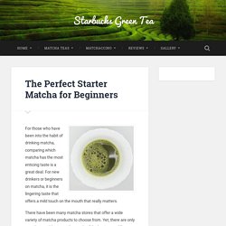 The Perfect Starter Matcha for Beginners