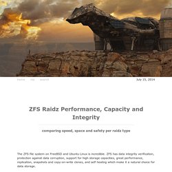 ZFS Raidz Performance, Capacity and Integrity Comparison