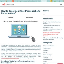 How to Boost Your WordPress Website Performance?
