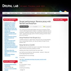 Reverse proxy with Varnish and PressFlow. Drupal performance. Dr