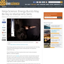 Ninja Science: Energy Bursts May Be Key to Martial Arts Skills