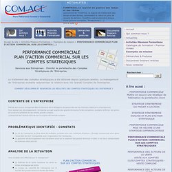 PERFORMANCE COMMERCIALE PLAN D'ACTION COMMERCIAL SUR LES COMPTES STRATEGIQUES - Com-Ace Nantes Conseil Stratégie et Performance Commerciale