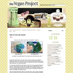 The Vegan Project-Mozilla Firefox