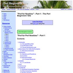 &Perl for Newbies& - Part 1 - The Perl Beginners Site