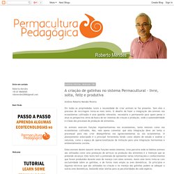 Permacultura Pedagógica: A criação de galinhas no sistema Permacultural - livre, solta, feliz e produtiva