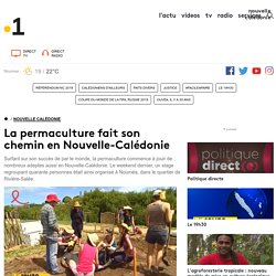 PERMACULTURE_CF - MARS 2015 - La permaculture fait son chemin en Nouvelle-Calédonie