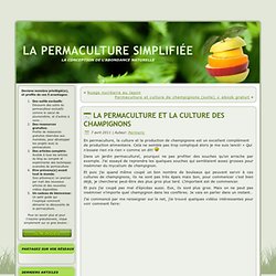 1.culture de champignon