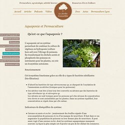Aquaponie et Permaculture - Le Jardin ComestibleLe Jardin Comestible