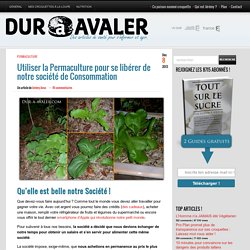 Utiliser la Permaculture pour se libérer de notre société de Consommation