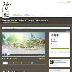 Seeds of Permaculture, a Tropical Documentary · WeTheTrees