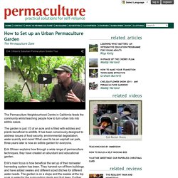 How to Set up an Urban Permaculture Garden