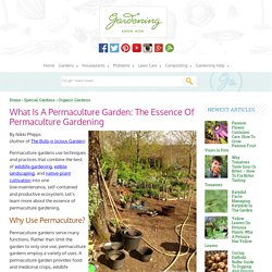 Permaculture Gardens - Benefits Of Permaculture Gardening
