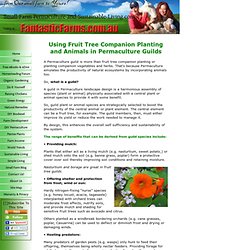 Permaculture Landscape Design: Fruit Tree Companion Planting and Animal Guilds