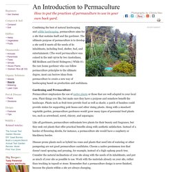 What Is Permaculture?: Organic Gardening