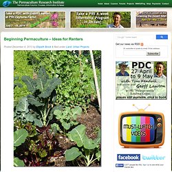 Beginning Permaculture - Ideas for Renters Permaculture Forums, Courses, News, Information