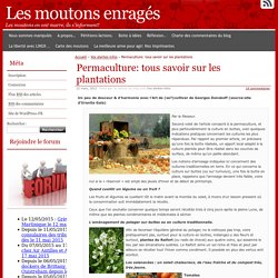 Permaculture: tous savoir sur les plantations