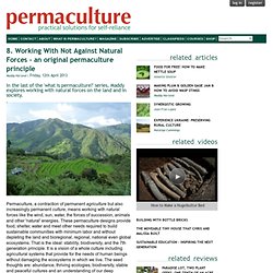 8. Working With Not Against Natural Forces - an original permaculture principle