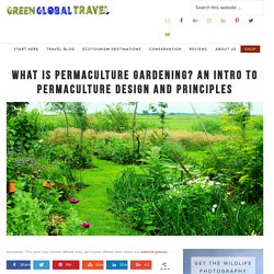 What Is Permaculture Gardening? An Intro to Permaculture Design and Principles