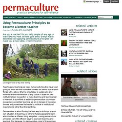 Using Permaculture Principles to become a better teacher