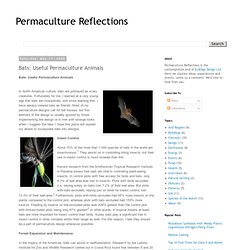 Bats: Useful Permaculture Animals