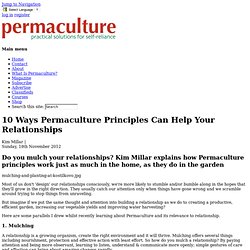 10 Ways Permaculture Principles Can Help Your Relationships