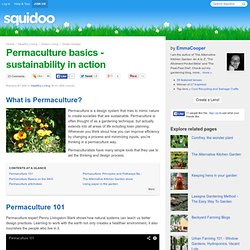 Permaculture basics - sustainability in action