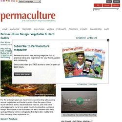 Permaculture Design: Vegetable & Herb Guilds