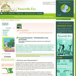 La permaculture : Introduction aux principes - Agriculture véritablement durable mode - Permaculture