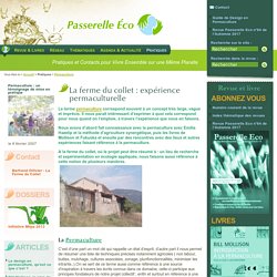 Permaculture - La ferme du collet : expérience permaculturelle -