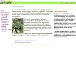 Stichting Saiwala - Permacultuur - Plantengildes