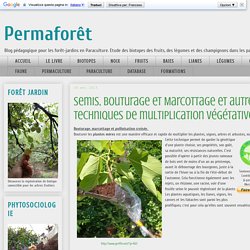 Permaforêt: Semis, Bouturage et Marcottage et autres techniques de multiplication végétative.