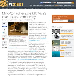 Mind-Control Parasite Kills Mice's Fear of Cats Permanently