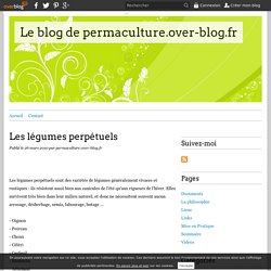 Les légumes perpétuels - Le blog de permaculture.over-blog.fr