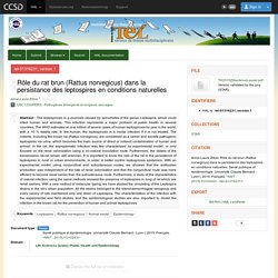 Université Claude Bernard - Lyon I, 2015. - Thèse en ligne: Rôle du rat brun (Rattus norvegicus) dans la persistance des leptospires en conditions naturelles