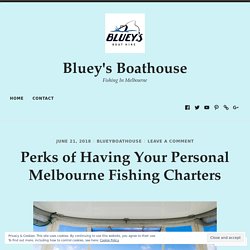 Perks of Having Your Personal Melbourne Fishing Charters – Bluey's Boathouse