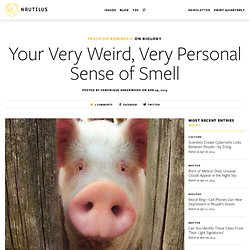 Your Very Weird, Very Personal Sense of Smell