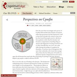 Perspectives on Cynefin