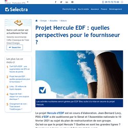 Projet Hercule EDF : quelles perspectives pour le fournisseur ?