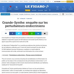 Grande-Synthe: enquête sur les perturbateurs endocriniens