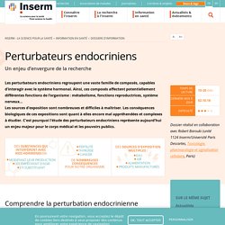 Dossier INSERM : Perturbateurs endocriniens